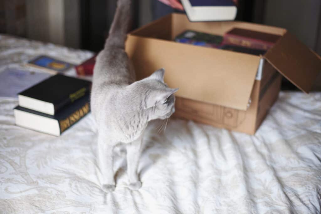 The Essential Guide to Stress-Free Moving to or from Slidell