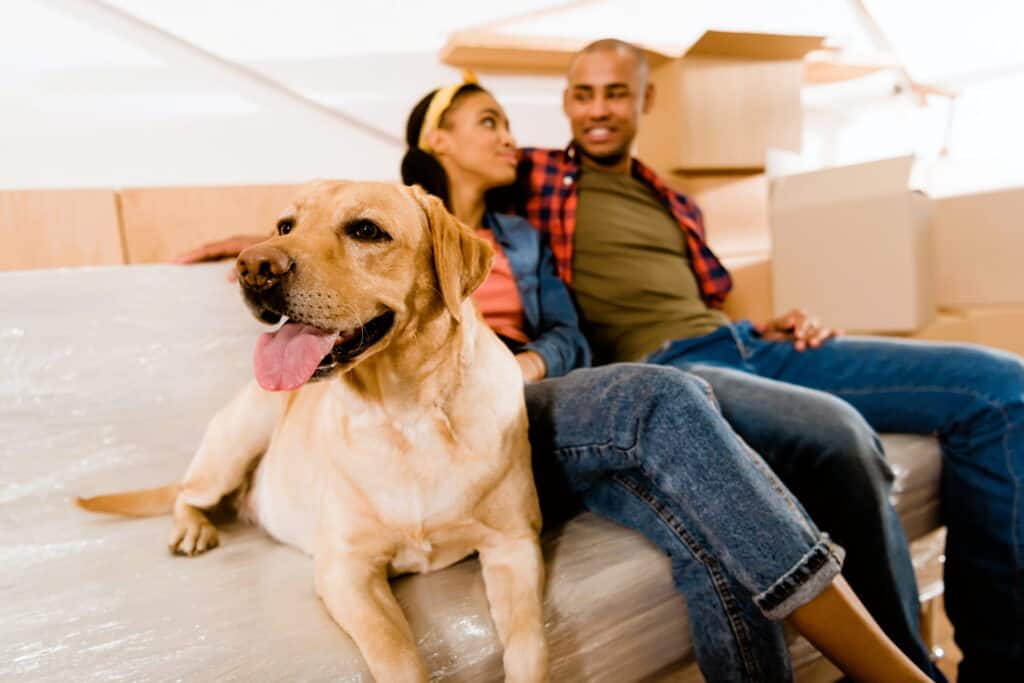 Moving with Pets: How to Keep Your Furry Friends Happy