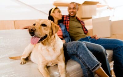 Moving with Pets: How to Keep Your Furry Friends Happy